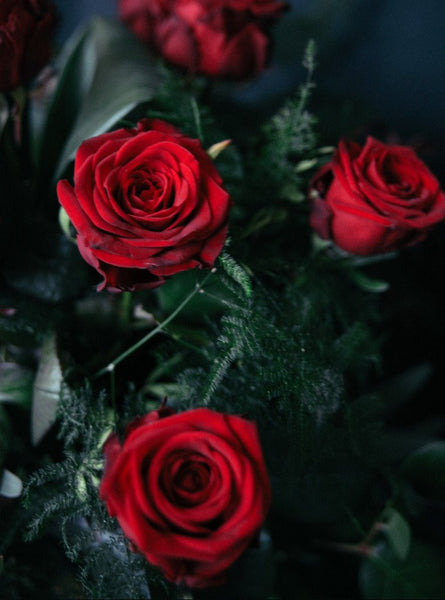 12 LUXURY RED ROSES