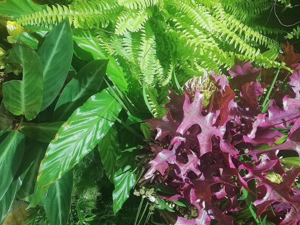 Flower Shop Glasgow Roots, Fruits and Flowers Florist Glasgow